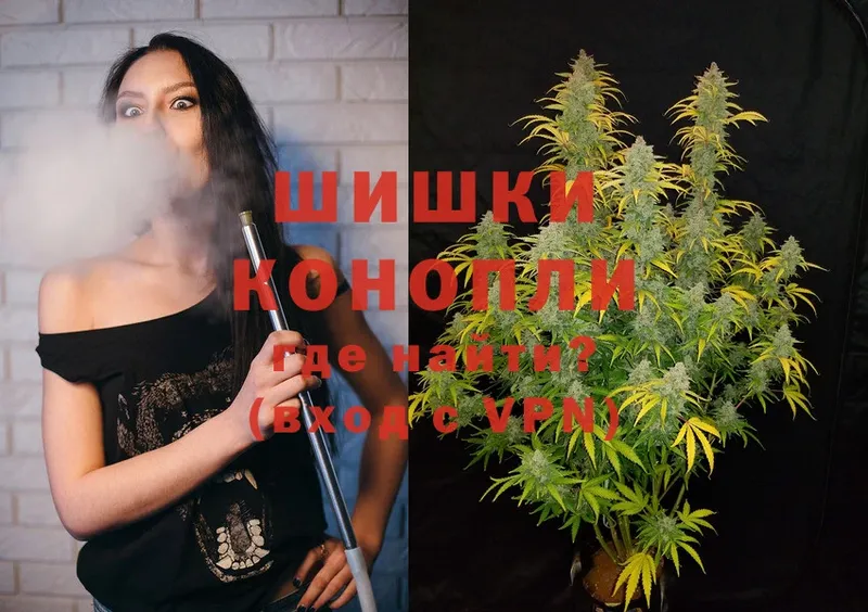 как найти закладки  Воронеж  Бошки марихуана THC 21% 